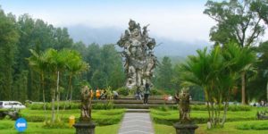 Read more about the article Bedugul Botanical Garden