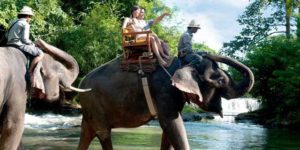 Bali Zoo Elephant Ride