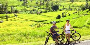 Jatiluwih Rice Paddy Cycling