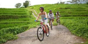 Jatiluwih Rice Paddy Cycling