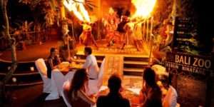 Night at The Bali Zoo Park