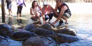 Water Sports Tanah Lot Tour